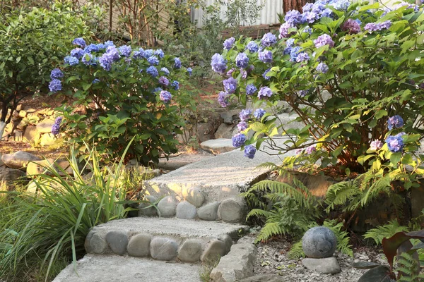 花园里的石路 景观设计 生活方式 美丽花园的概念 — 图库照片