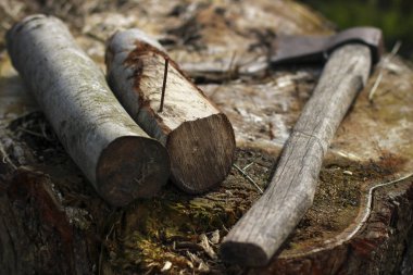 Ağaç ve balta. Otantik araçlarla kırsal avlu. Yaban hayatı, kırsal