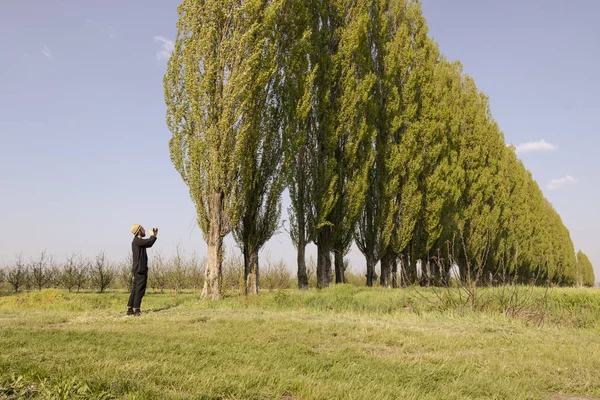 The little man on the background of large trees. The concept of success and growth. The traveler takes pictures in nature