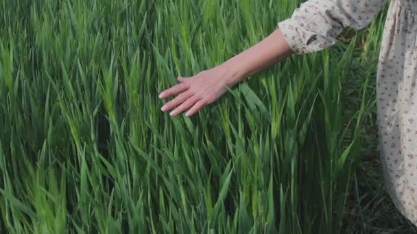 Žena farmář těší přírodu a slunce — Stock video