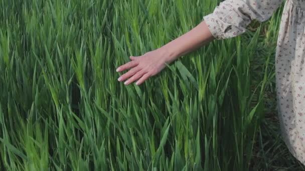 Női farmer élvezi a természet és a nap — Stock videók