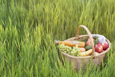 Piknik hasır sepeti, tarlada çimenlerin üzerinde yiyecek. Sağlıklı gıda kavramı, organik doğal ve taze ürünler. Sevgi ile bir çiftçi tarafından yetiştirilen