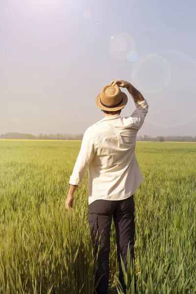 Happy man in shirt and cap on wheat and sunlight background. Concepts of success and good luck in business, agriculture, organic farming