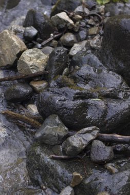 Dağ nehrinde ıslak taşların karanlık arka planı