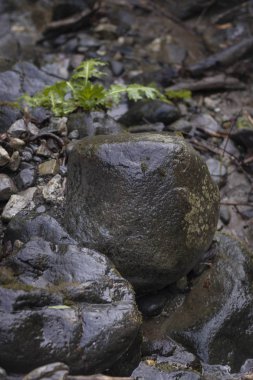 Dağ nehrinde ıslak taşların karanlık arka planı
