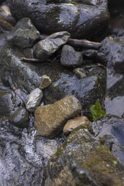 Dağ nehrinde ıslak taşların karanlık arka planı