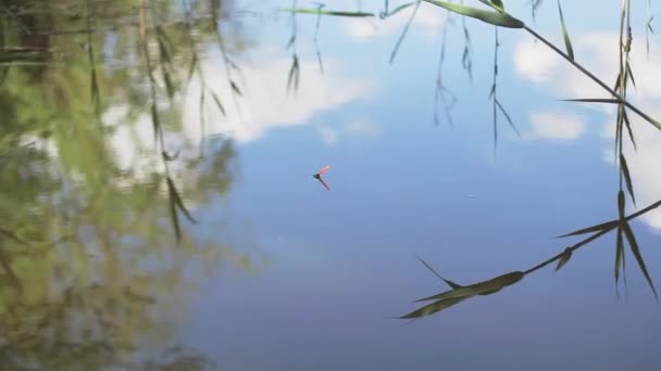 Drei schweben neben den Stangen. — Stockvideo