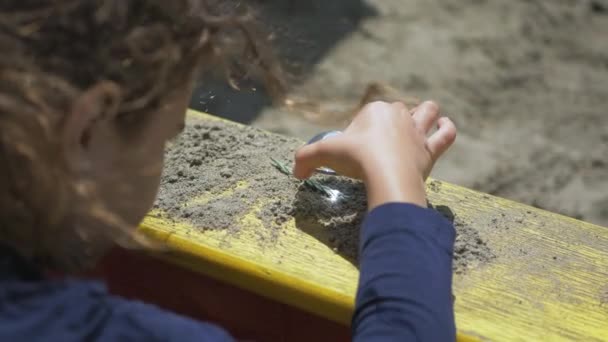 Anak-anak membakar kayu dengan kaca pembesar di bawah sinar matahari, sinar matahari atau sinar matahari — Stok Video