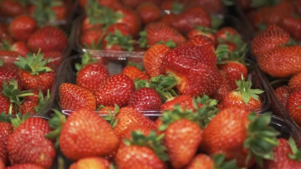 Frische Erdbeeren aus nächster Nähe im Supermarkt — Stockvideo
