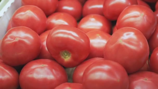 Tomates frescos de cerca en el supermercado — Vídeos de Stock