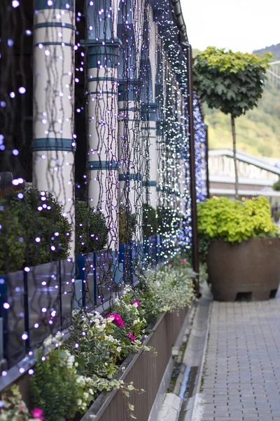 Hermosa vista desde la calle hasta la cafetería en la vegetación de árboles y flores. Café de la calle decorado con luces para las vacaciones . — Foto de Stock