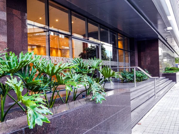 Entrance to an elegant lobby of a business building with plants and big windows