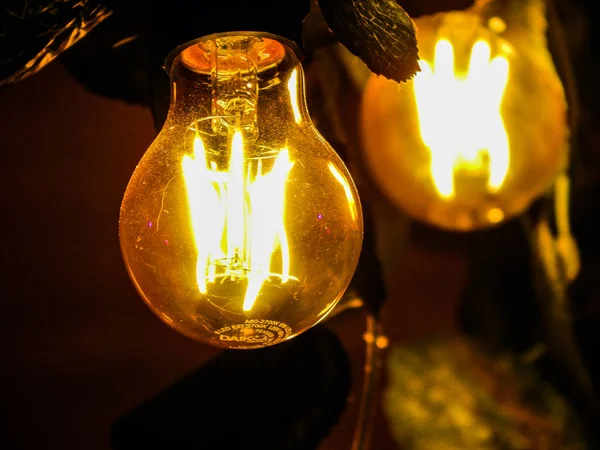 Close shot of lit lightbulbs