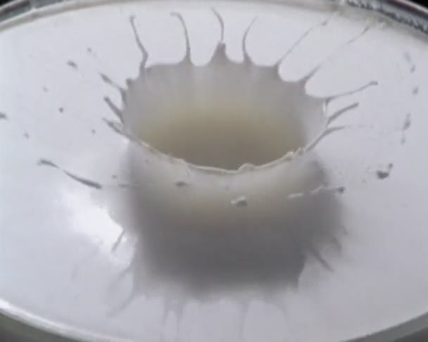 Couronne Goutte Lait Tir Goutte Lait Avec Caméra Film Ralenti — Video