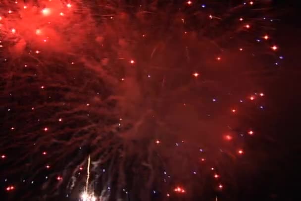 Fireworks Celebración Final Por Noche — Vídeo de stock