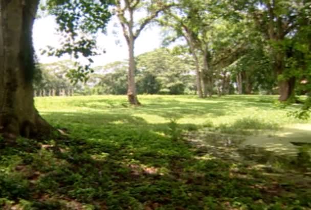 Hotel Lago Panorámica Derecha — Vídeo de stock