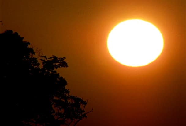 Pôr Sol Tropical Bela Vista Pôr Sol Caribe — Vídeo de Stock