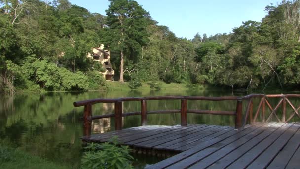 Vista Una Casa Lago — Vídeos de Stock