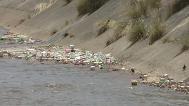 Águas Contaminadas Rio Danos Ambientais — Vídeo de Stock