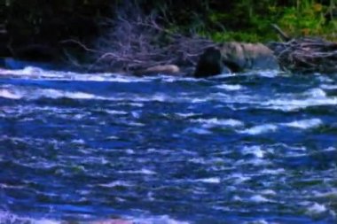 River Water Fall'un tepesi, 35 mm'lik filmde çekildi