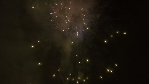 Fogos Artifício Celebração Final Noite — Vídeo de Stock