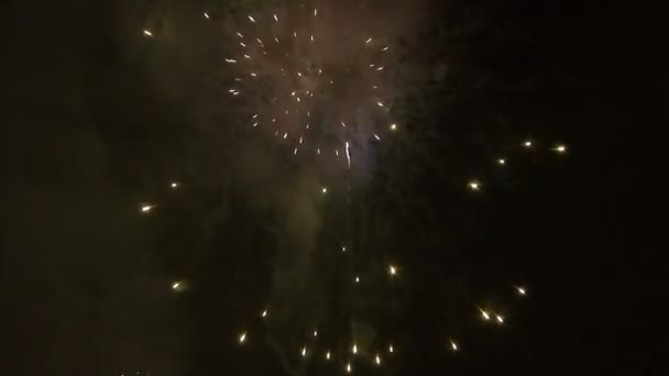 Feu d'artifice Finale Célébration la nuit 