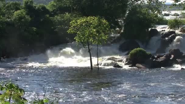 Llovizna Watervallen Nationaal Park Venezuela — Stockvideo