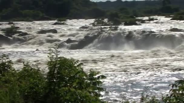 Llovizna Watervallen Nationaal Park Venezuela — Stockvideo