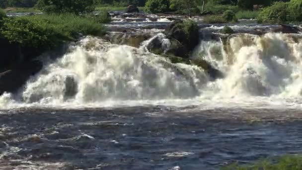 Llovizna Waterfalls National Park Venezuela — Stockvideo