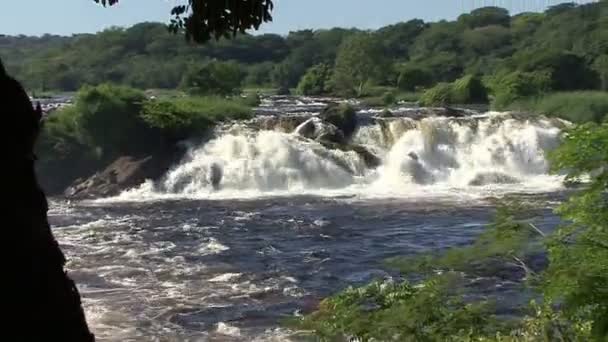 Llovizna Watervallen Nationaal Park Venezuela — Stockvideo