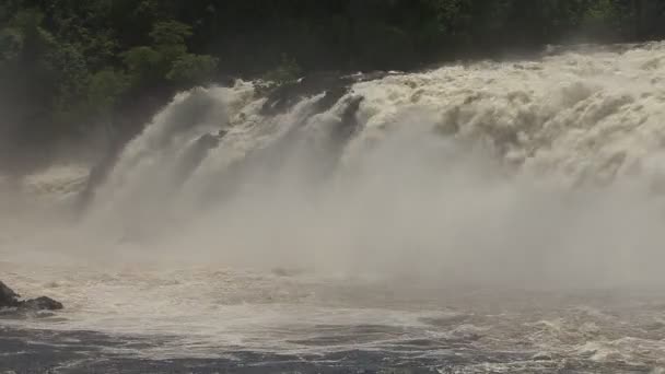 Llovizna Waterfalls National Park Venezuela — Stockvideo