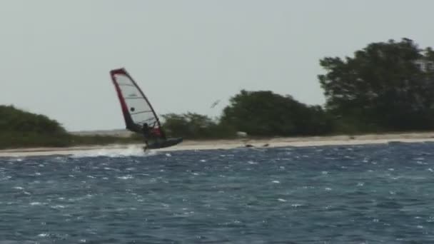 青い海で活動中のウィンドサーファー — ストック動画