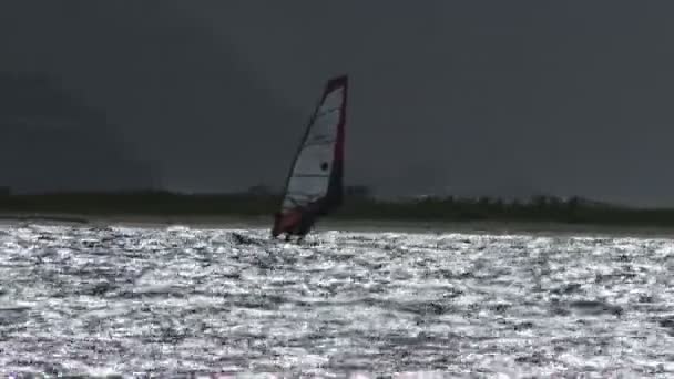 Windsurfer Action Silver Sea — Stock Video