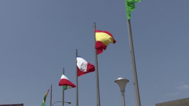 Drapeaux Nationaux Qui Coulent Dans Vent — Video