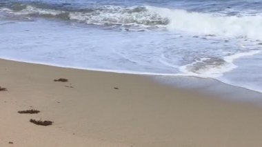 Kıyı Karayip plaj görünümü