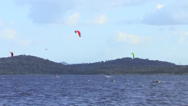 Kitesurfing Flod Venezuela — Stockvideo