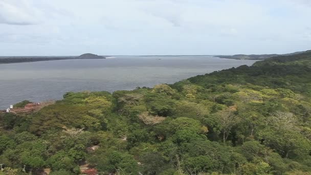 Река Ориноко Самая Большая Река Венесуэле — стоковое видео