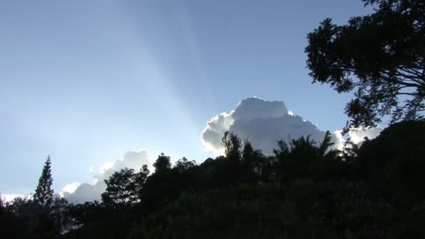 Nubi Lasso Tempo Sfondo Del Paesaggio Nuvole Cumulus — Video Stock