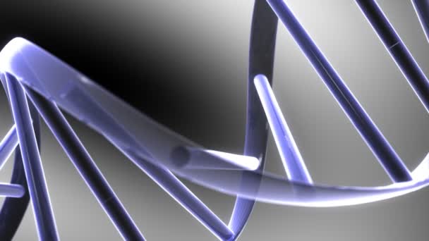 Dna分子の鎖の3Dモデルアニメーション — ストック動画