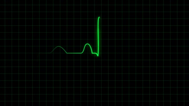 Elektrokardiogram Skärm Animering Hjärt Puls — Stockvideo