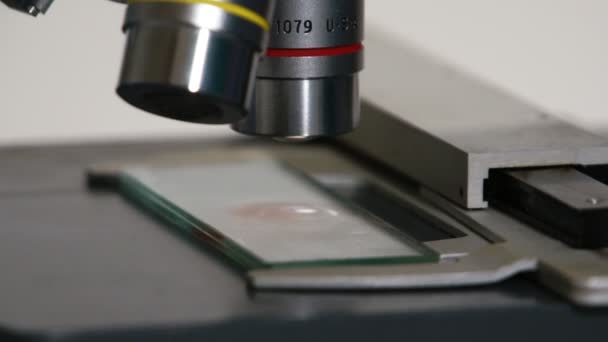 Detail Microscope Slide Bioanalyst — Stock Video