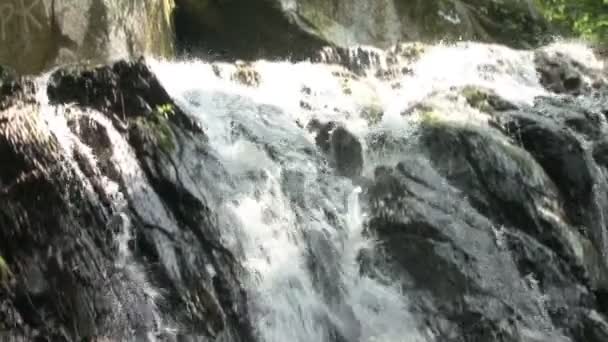 Kleiner Wasserfall Tropischen Regenwald Wasserfall Dschungel — Stockvideo