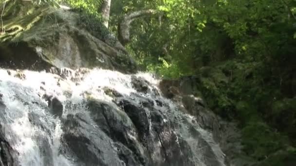 Маленький Водопад Тропическом Дождевом Лесу Водопад Джунглях — стоковое видео