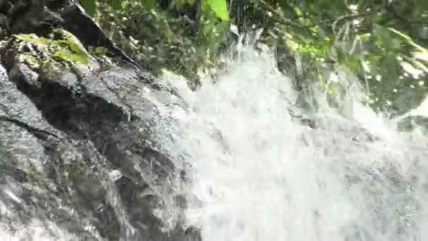 丛林中的瀑布 热带雨林中的小瀑布 — 图库视频影像