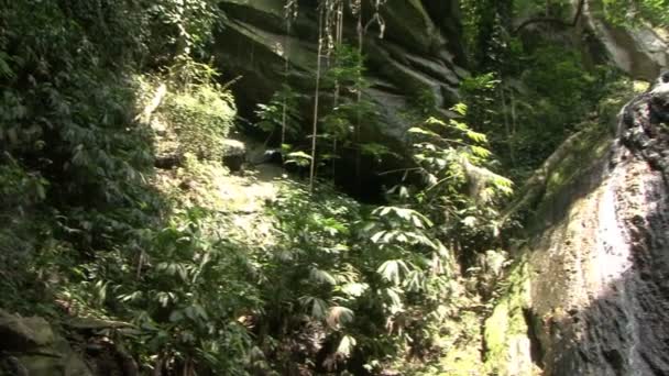 Cascata Nella Giungla Piccola Cascata Nella Foresta Pluviale Tropicale — Video Stock