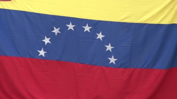 Venezuela Vlag Volledige Frame — Stockvideo