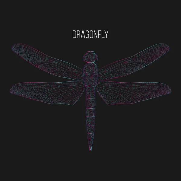 Dragonfly Ilustração Vetorial Abstrata —  Vetores de Stock