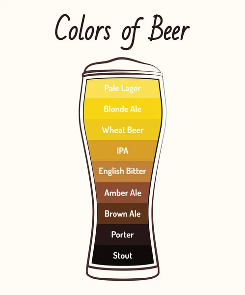 啤酒信息图的颜色 矢量插图 Eps10 — 图库矢量图片
