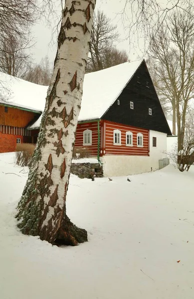 Chalet Traditionnel Bois République Tchèque — Photo