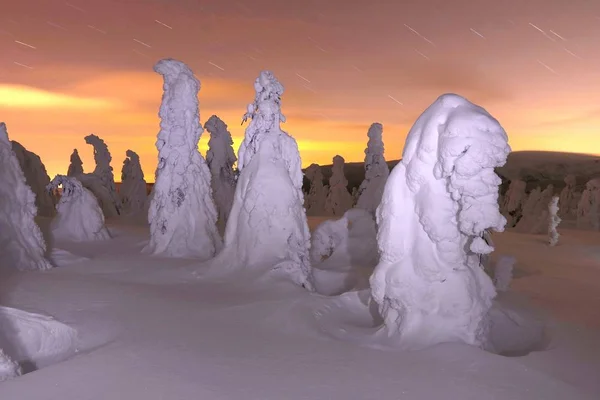 在山里的夜晚的冰冻树木 — 图库照片